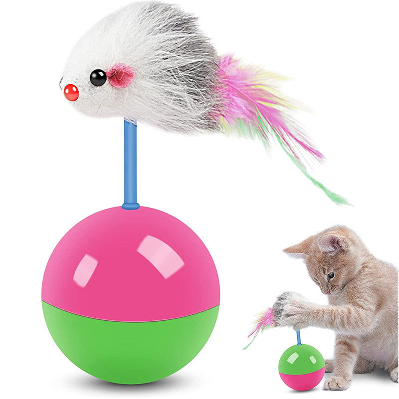 Cat toys