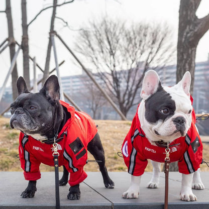 Dog Waterproof Coat