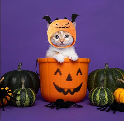 Halloween Small Pets