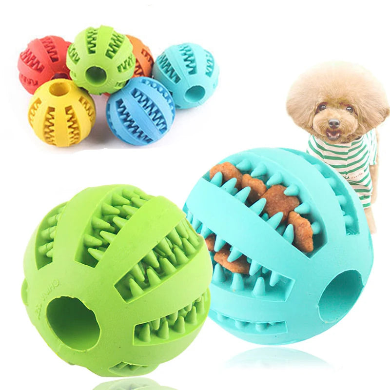 Dog Toy Dog Ball Toys for Small Dogs Interactive Elasticity Chew Toy  