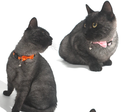 pet collars