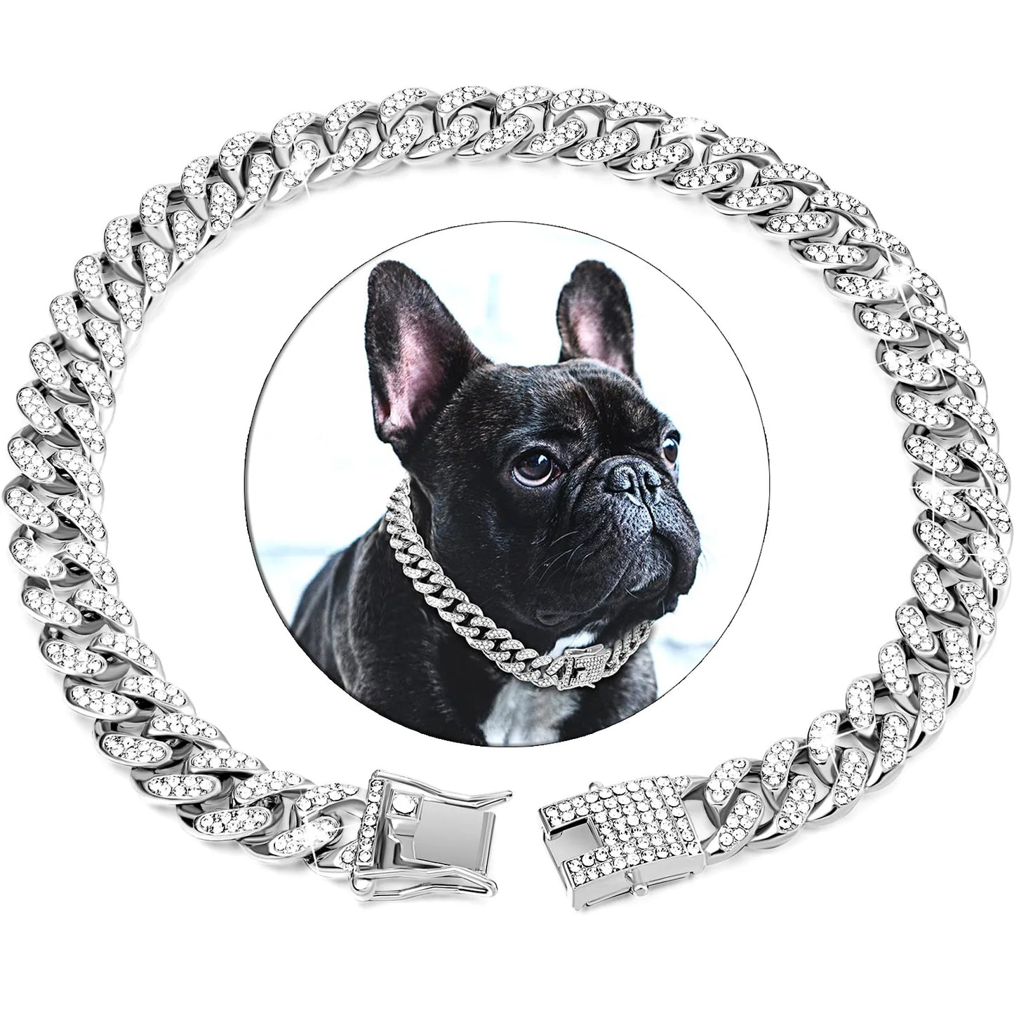 dog chain collar