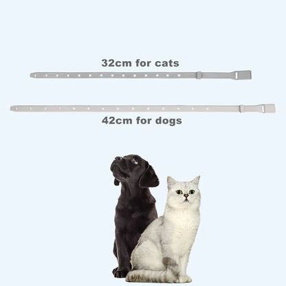 Collar For Cat Small Dog Antiparasitic