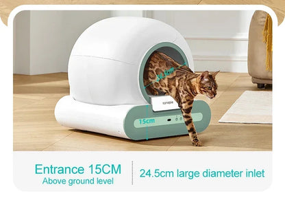 Automatic Litter Box