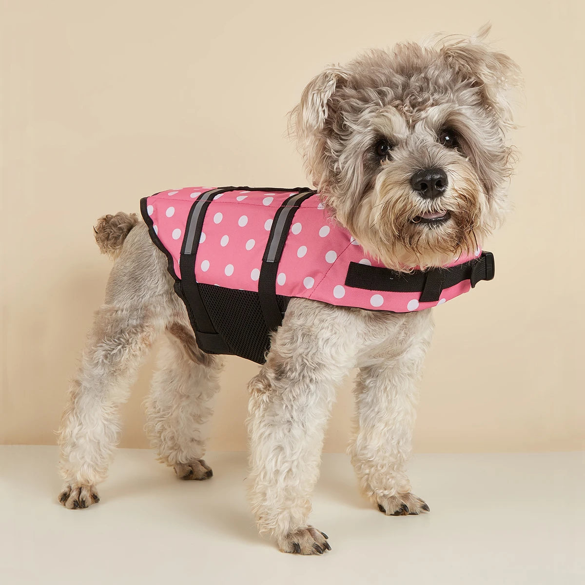 Dog Life Jacket