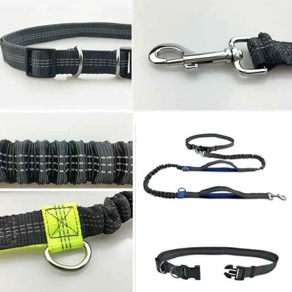 elastic reflective dog leash traction rope metal