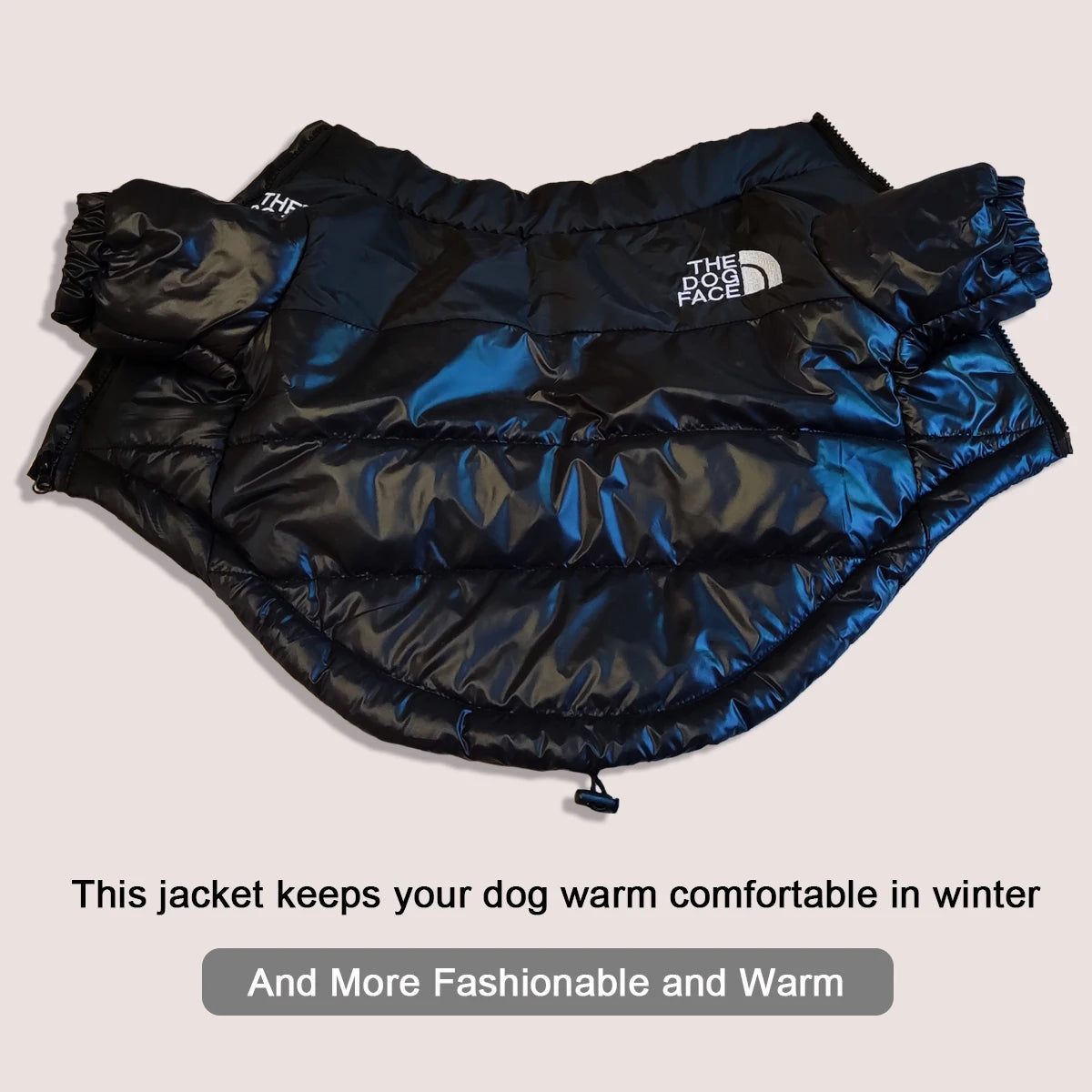 Dog Jacket