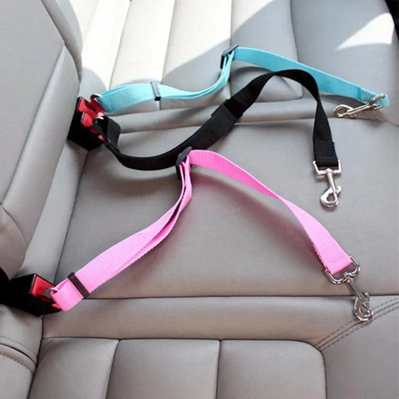 Dog Seat Belt