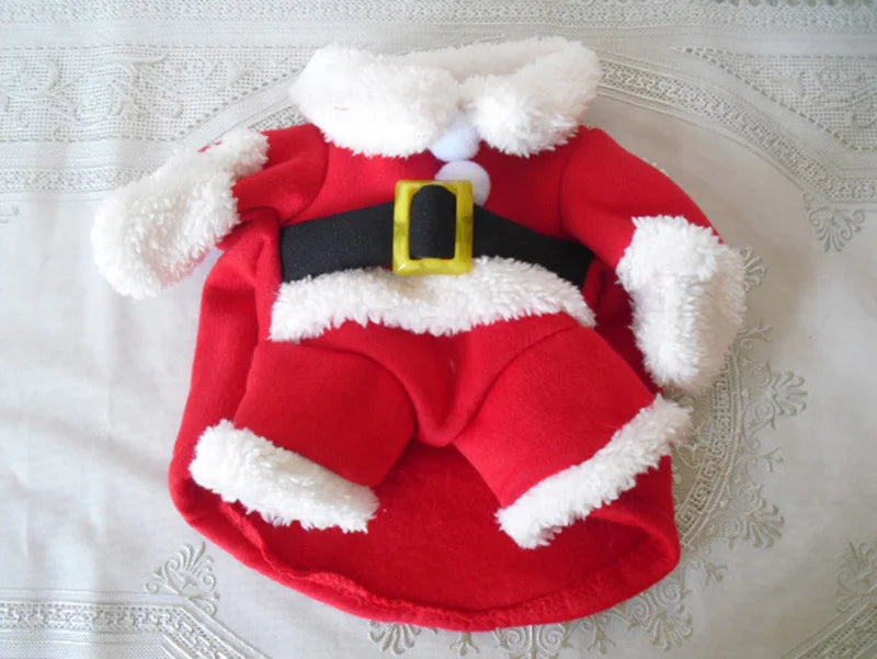 Santa Pet Costume