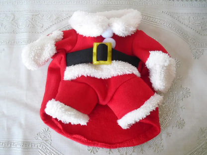 Santa Pet Costume