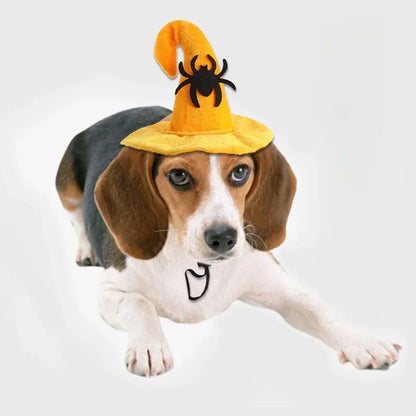 Halloween Small Pets