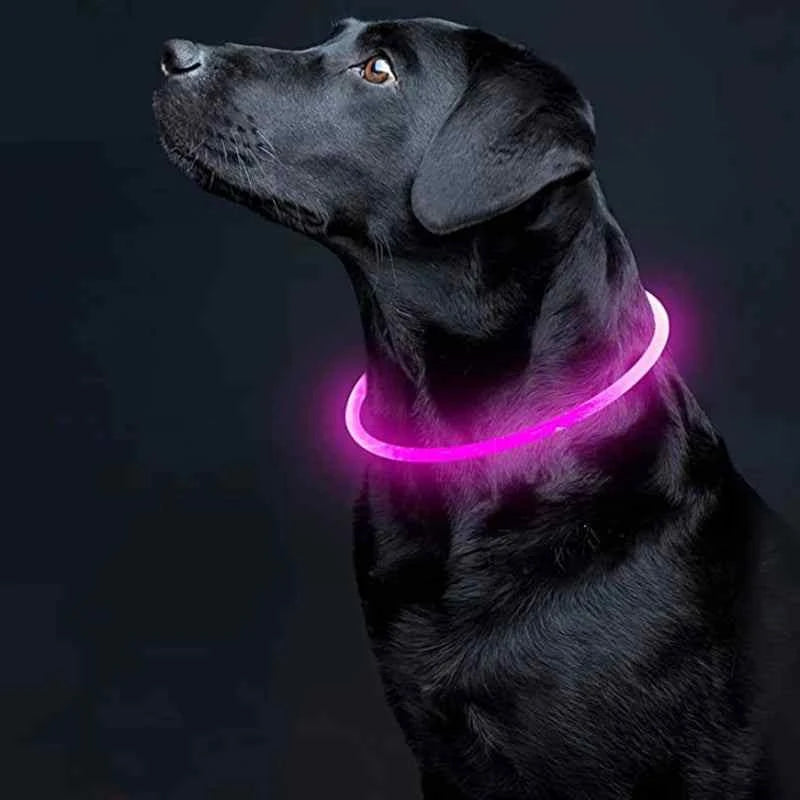 LED Dog Collar - Light Up Dog Collar - Glowing LED Dog Collar with 3 Modes Luminous USB