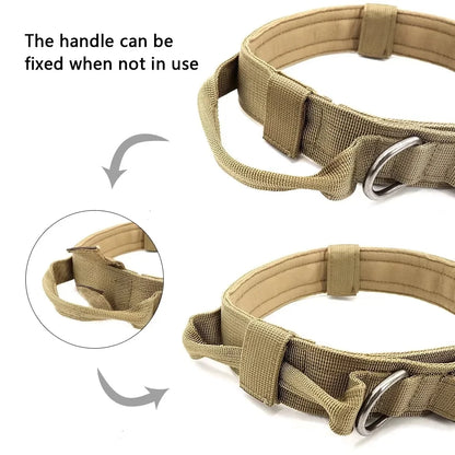 Dog Collar Military Adjustable Duarable